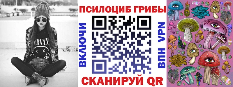 Галлюциногенные грибы Magic Shrooms Дятьково